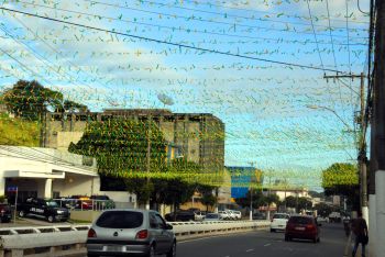 Decoração para a Copa do Mundo na Avenida Leitão da Silva