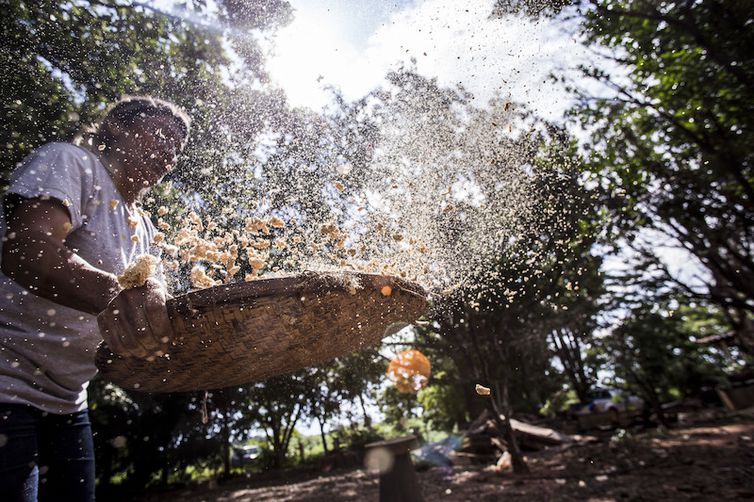 Projetos que visam a aumentar proteção à Amazônia estão parados no Congresso