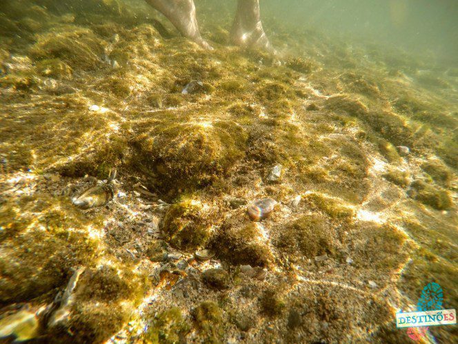 Verão: Opções de praias escondidas da GV para fugir das aglomerações Verão: Opções de praias escondidas da GV para fugir das aglomerações