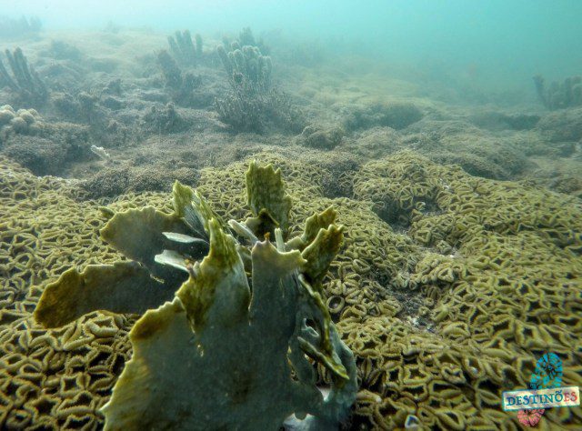 Verão: Opções de praias escondidas da GV para fugir das aglomerações Verão: Opções de praias escondidas da GV para fugir das aglomerações
