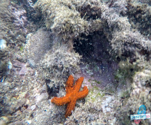 Verão: Opções de praias escondidas da GV para fugir das aglomerações Verão: Opções de praias escondidas da GV para fugir das aglomerações