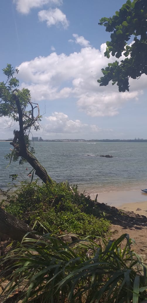Verão: Opções de praias escondidas da GV para fugir das aglomerações Verão: Opções de praias escondidas da GV para fugir das aglomerações