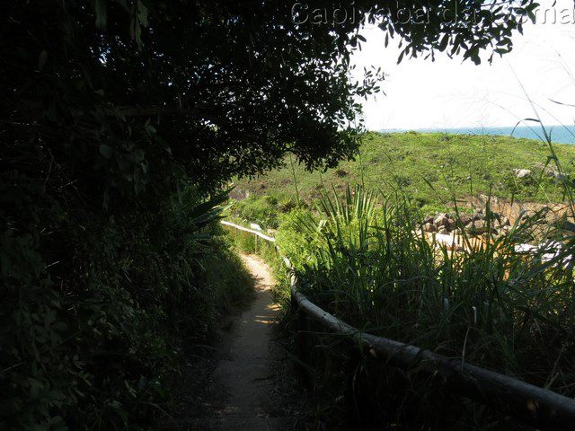 Verão: Opções de praias escondidas da GV para fugir das aglomerações Verão: Opções de praias escondidas da GV para fugir das aglomerações