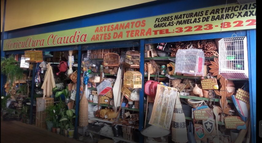 Racismo e assédio na floricultura cláudia