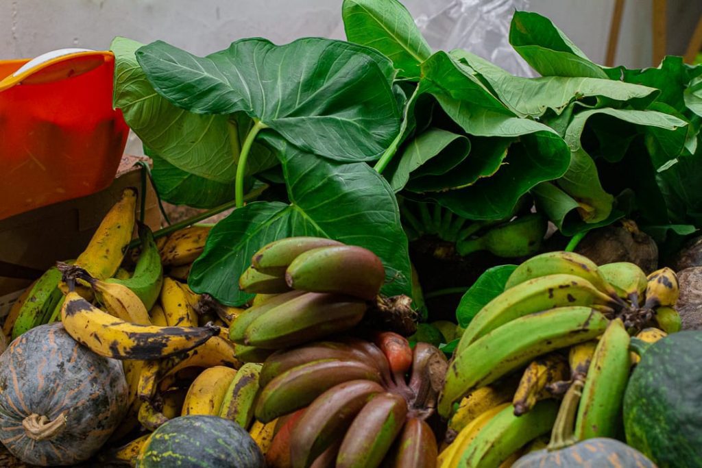 Cozinha Solidária: ação distribui marmitas para população em vulnerabilidade em Vitória