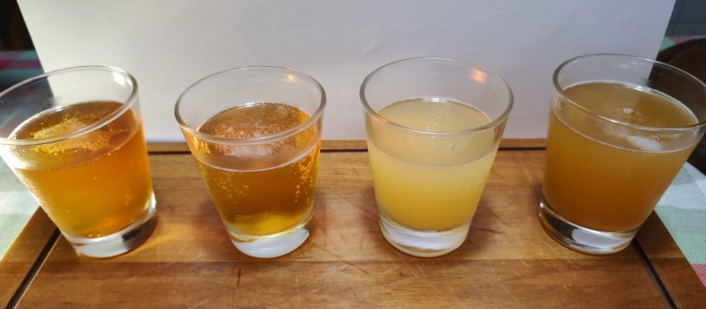 Trigo x Malte, você sabe a diferença entre esses dois tipos de cerveja?