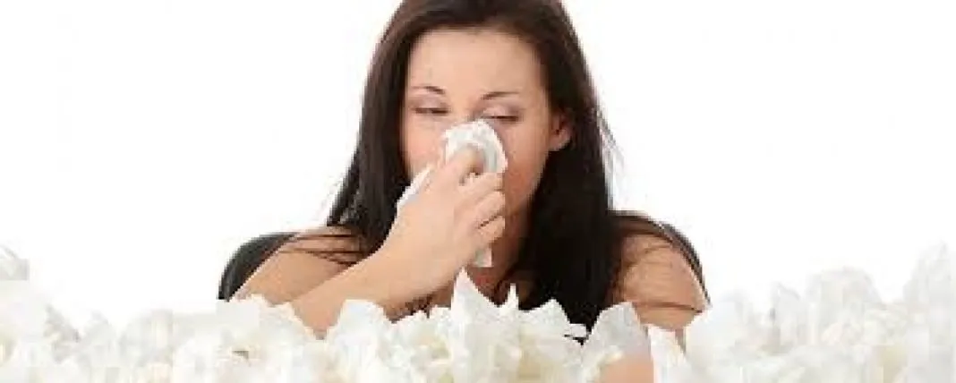 alergia