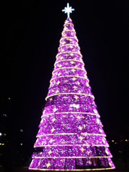Árvore de natal de 25 metros será iluminada nesta sexta-feira (7) em  Vitória - ES HOJE