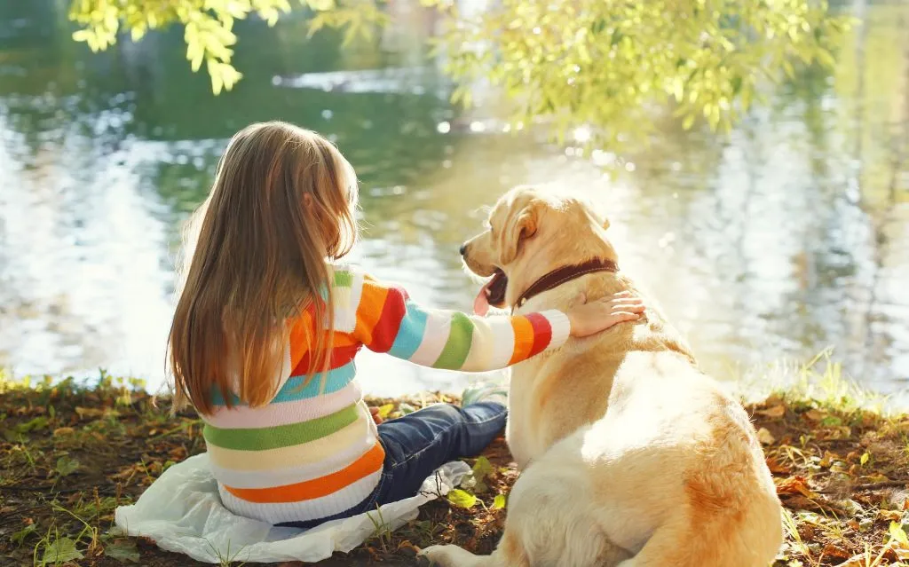 Altas temperaturas podem causar câncer de pele em pets