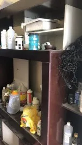 Polícia descobre um laboratório em São Cristóvão com vários pés de maconha