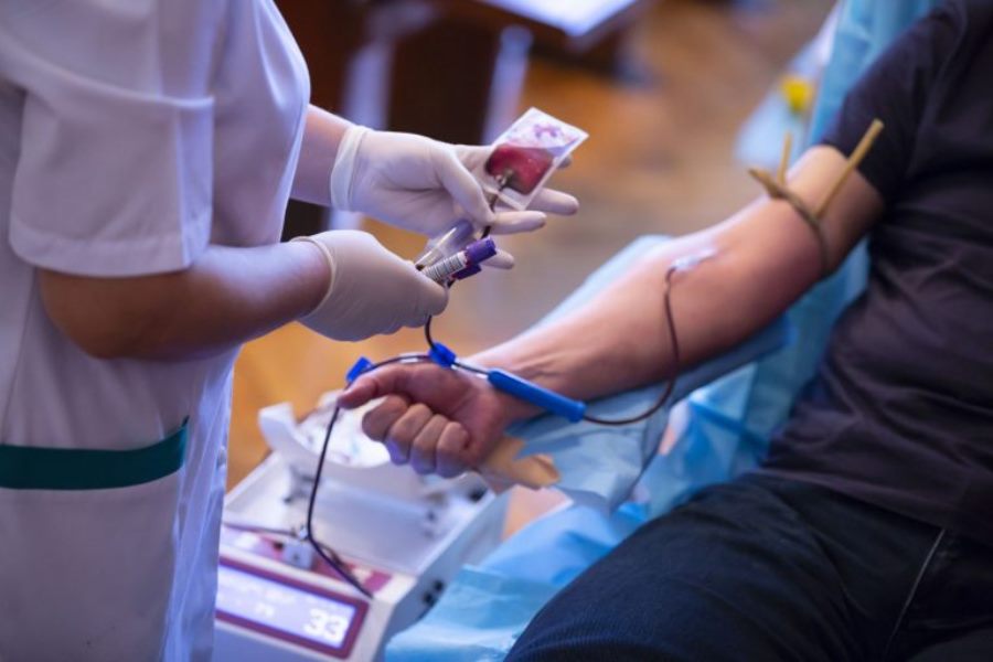 Alerta vermelho! Hemoes clama por doadores de sangue