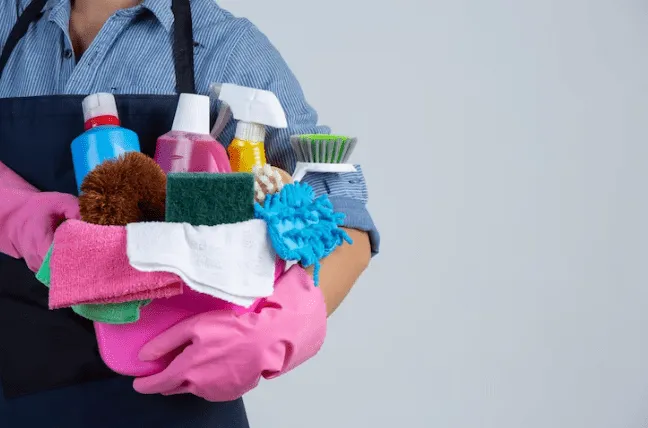 Mais de 4 milhões de empregadas domésticas lidam com a informalidade