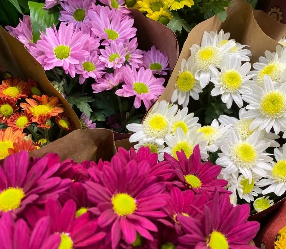 Do campo para mesa. Conheça a Extrafruti, empresa capixaba referência em gestão de hortifrutigranjeiros.