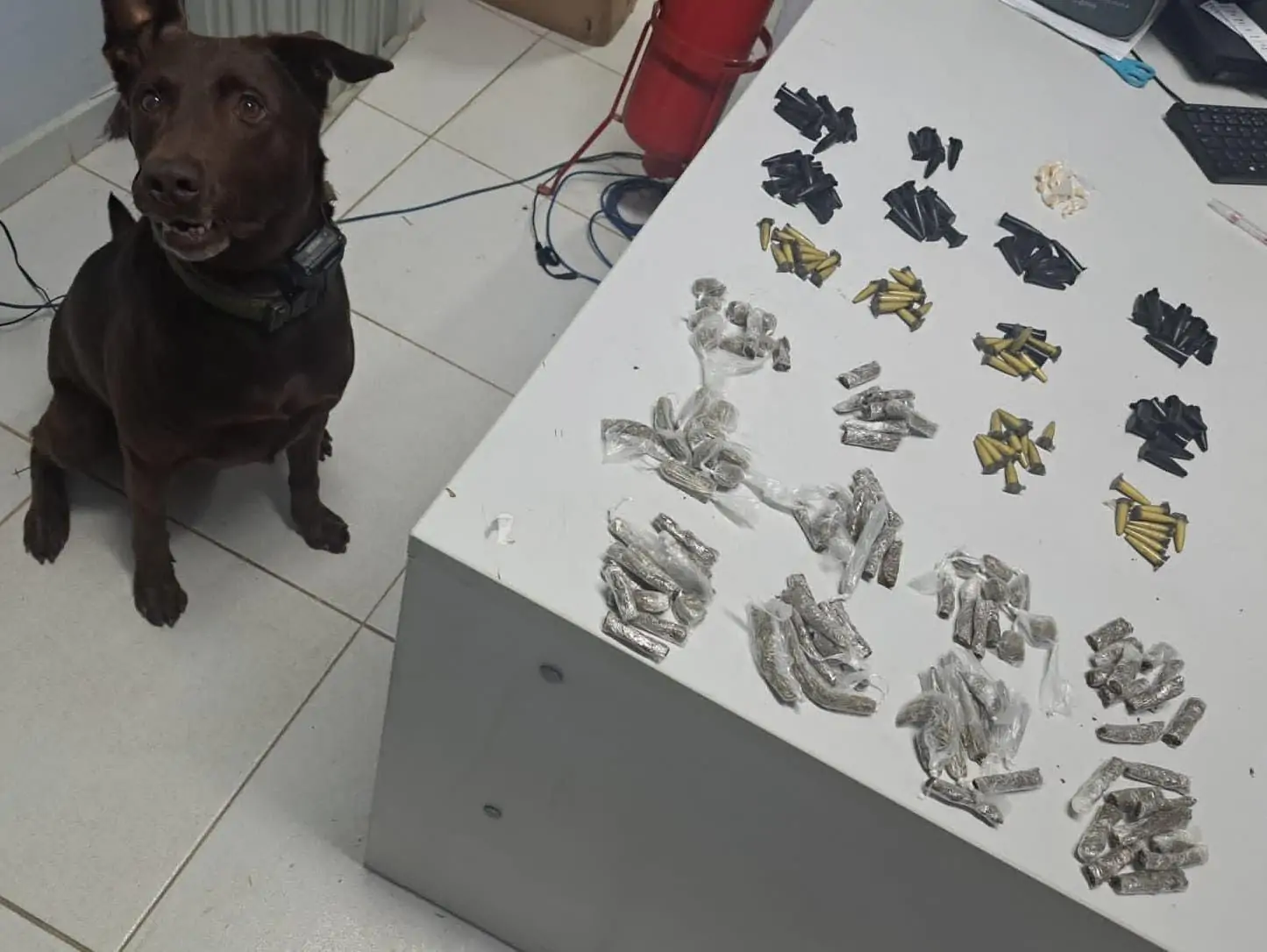 Armas, dinheiro e grande quantidade de drogas foram apreendidas na Serra