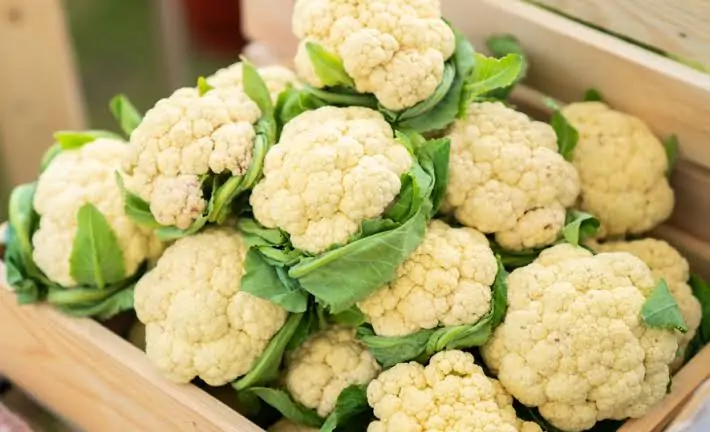 Frutas e vegetais para consumir em dias de onda de calor