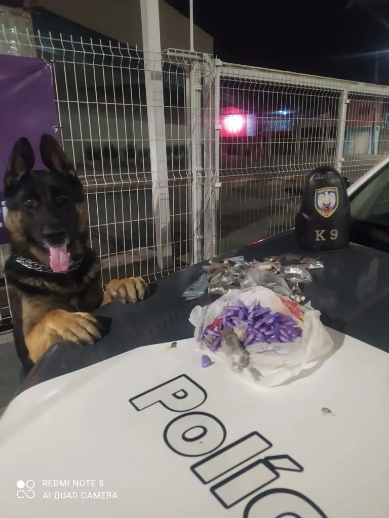 Polícia Militar apreende armas e grande quantidade de drogas na Serra