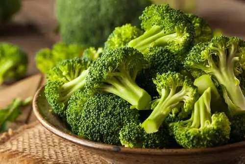 Conheça as melhores frutas e vegetais para se consumir nesse calor!