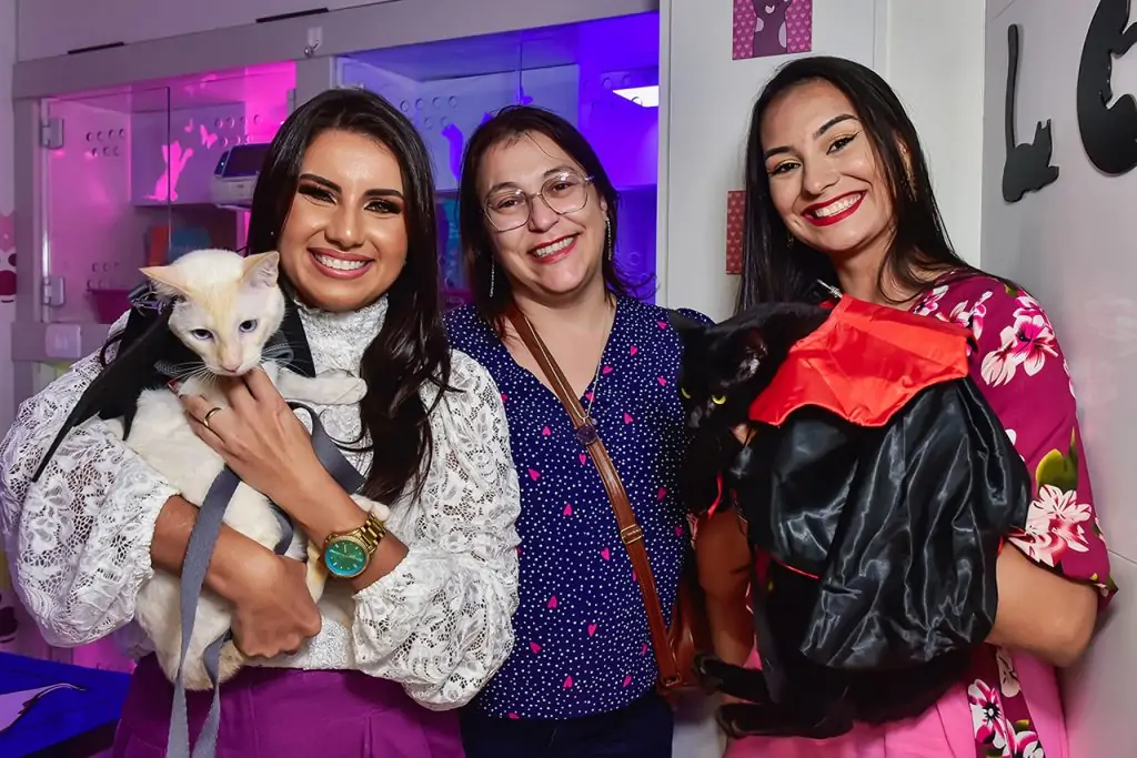 Vila Velha ganha espaço exclusivo para cuidados dos felinos