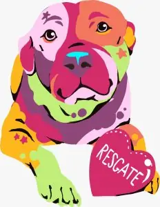 ICORES entrega mural em Vitória para sensibilizar a sociedade sobre a causa animal