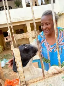 Mais de 600 animais foram assistidos após tragédia no sul do ES