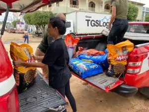 Mais de 600 animais foram assistidos após tragédia no sul do ES