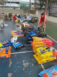 Mais de 600 animais foram assistidos após tragédia no sul do ES