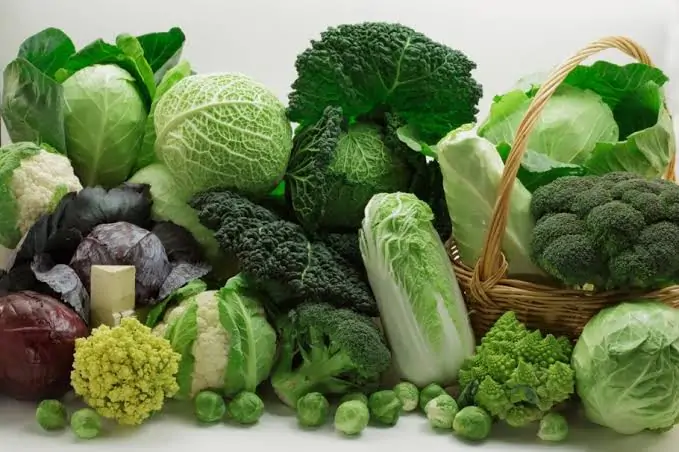 Alimentos verdes são obrigatórios?