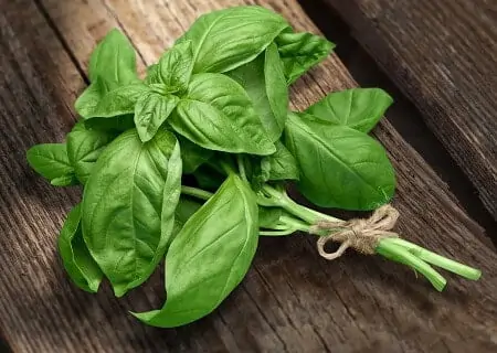 Temperos que ajudam a diminuir o consumo de sal