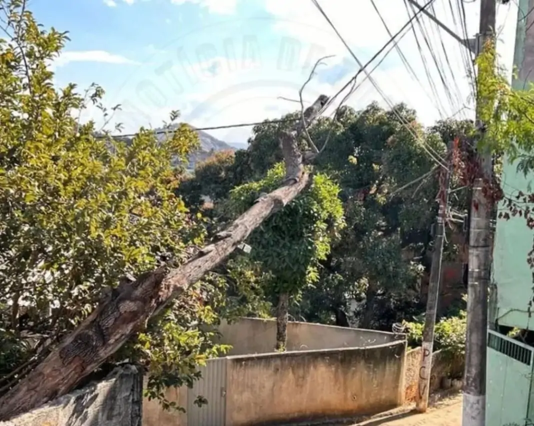 Moradores de rua de Vila Velha está há quatro dias sem energia após árvore cair em fiação