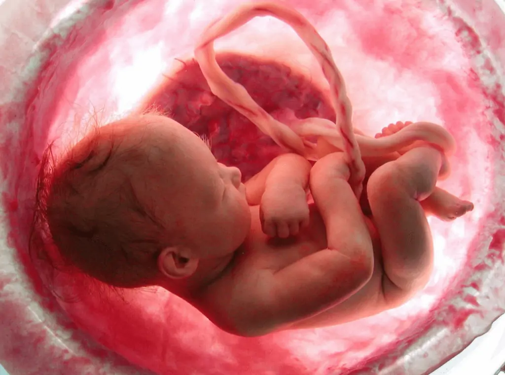 O papel da igreja contra o aborto e no acolhimento das mulheres