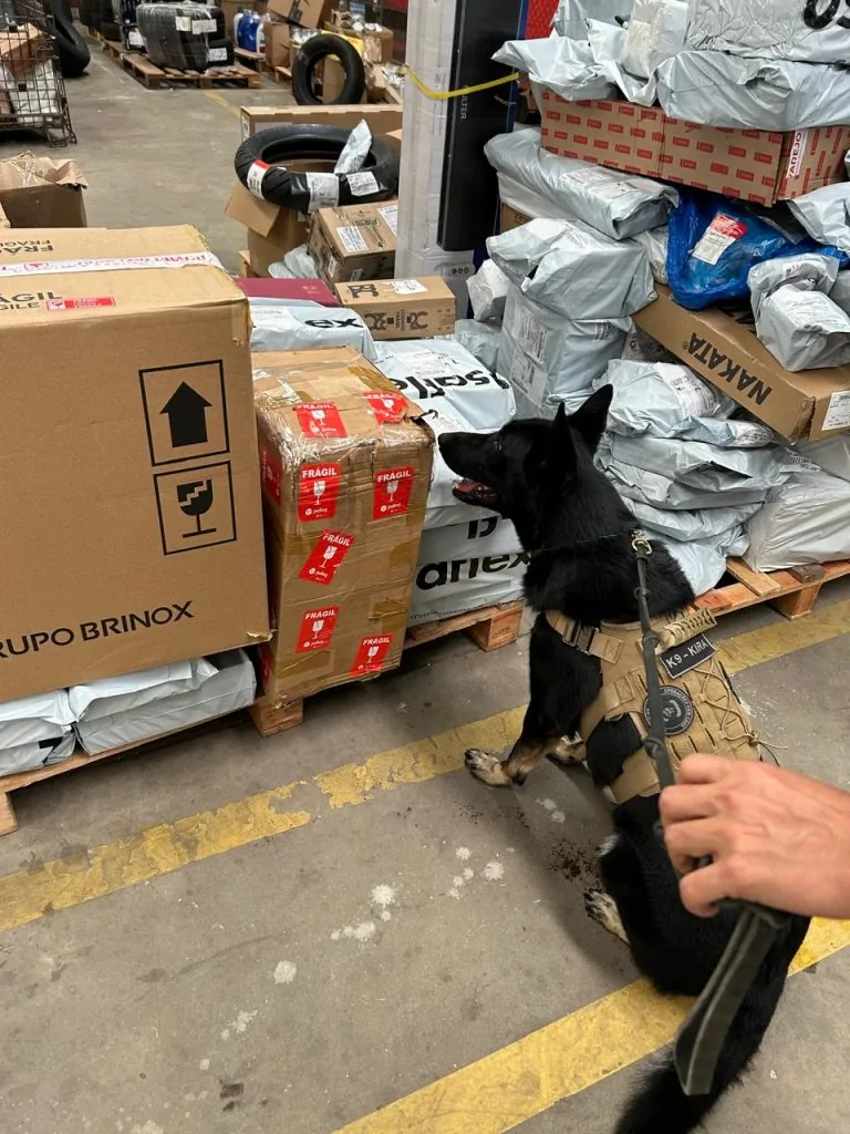 PF apreende 30 quilos de maconha em galpão de empresa na Grande Vitória