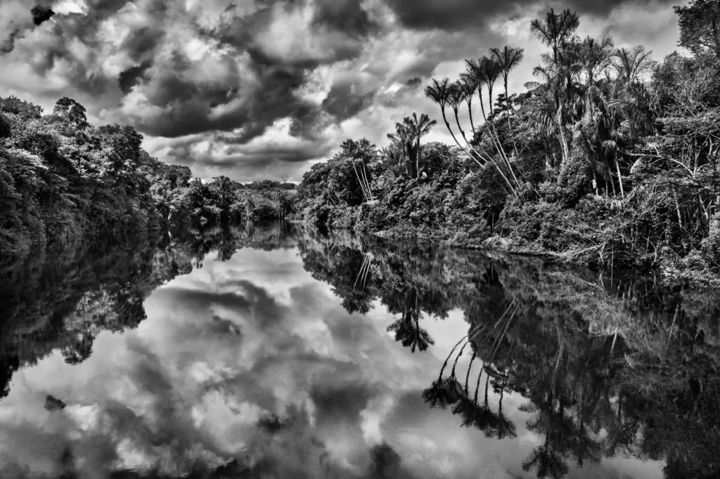 Entenda por que Sebastião Salgado tirava fotos em preto e branco