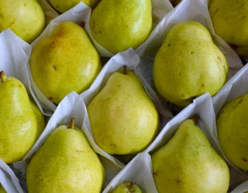 Alimento detox para ajudar a desinchar