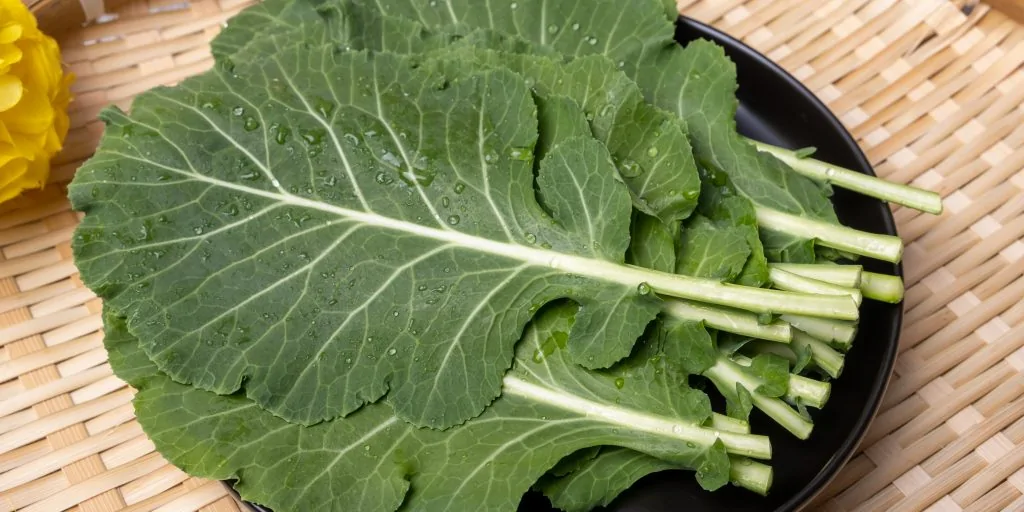 Alimento detox para ajudar a desinchar