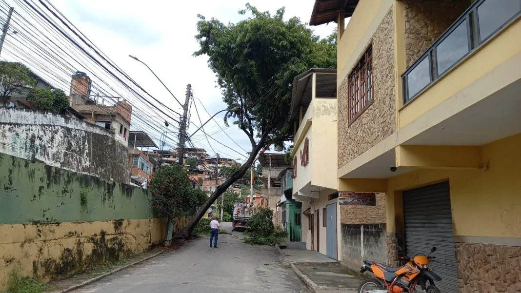 queda de árvore cachoeiro de Itapemirim