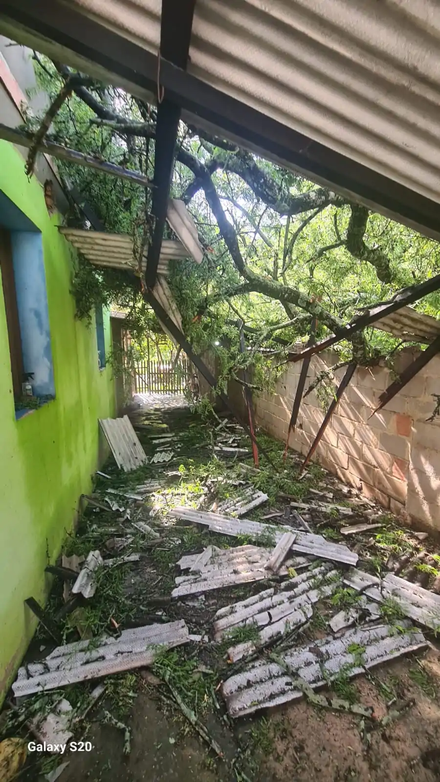 Chuva de apenas meia hora derruba árvore e telhados em João Neiva