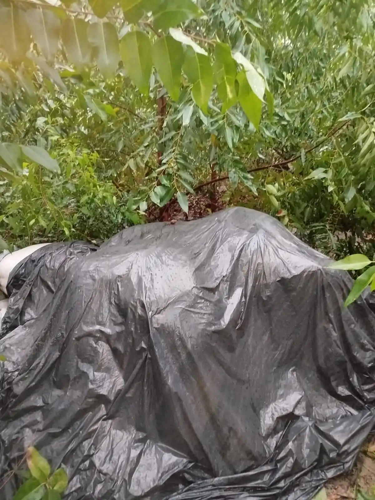 Quatro são presos por roubo de mais de R$ 90 mil em carga de pimenta-do-reino