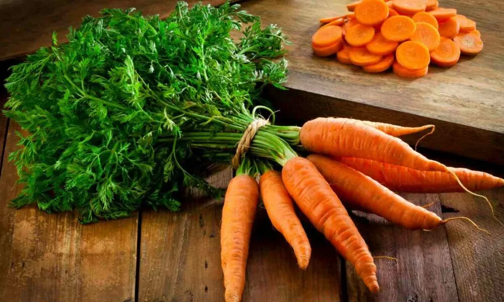 Alimentos que ajudam na prevenção do câncer!