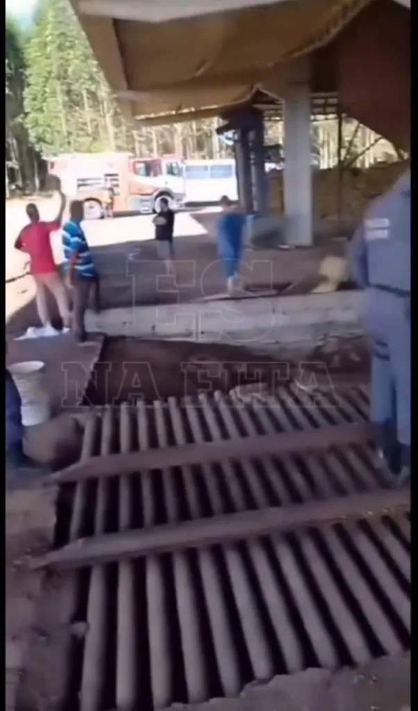 Trabalhador morre em secador de café, em São Mateus