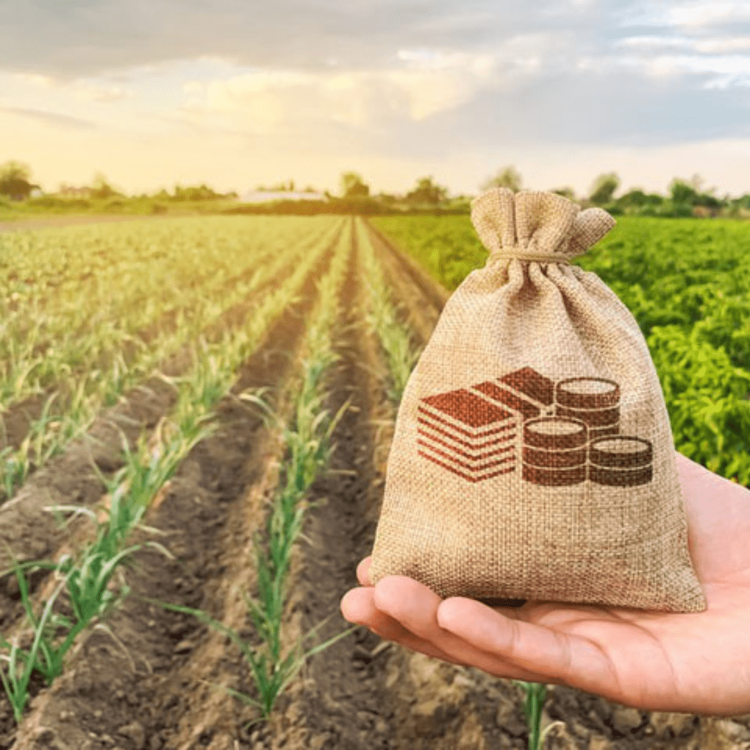 BNDES aprova recorde de R$ 1,35 bilhão para o agro no Espírito Santo