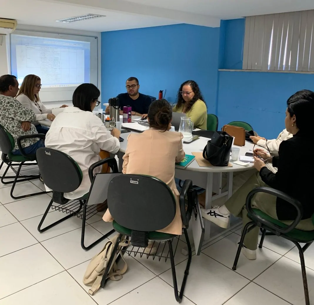 comissão organizadora conferência direitos humanos