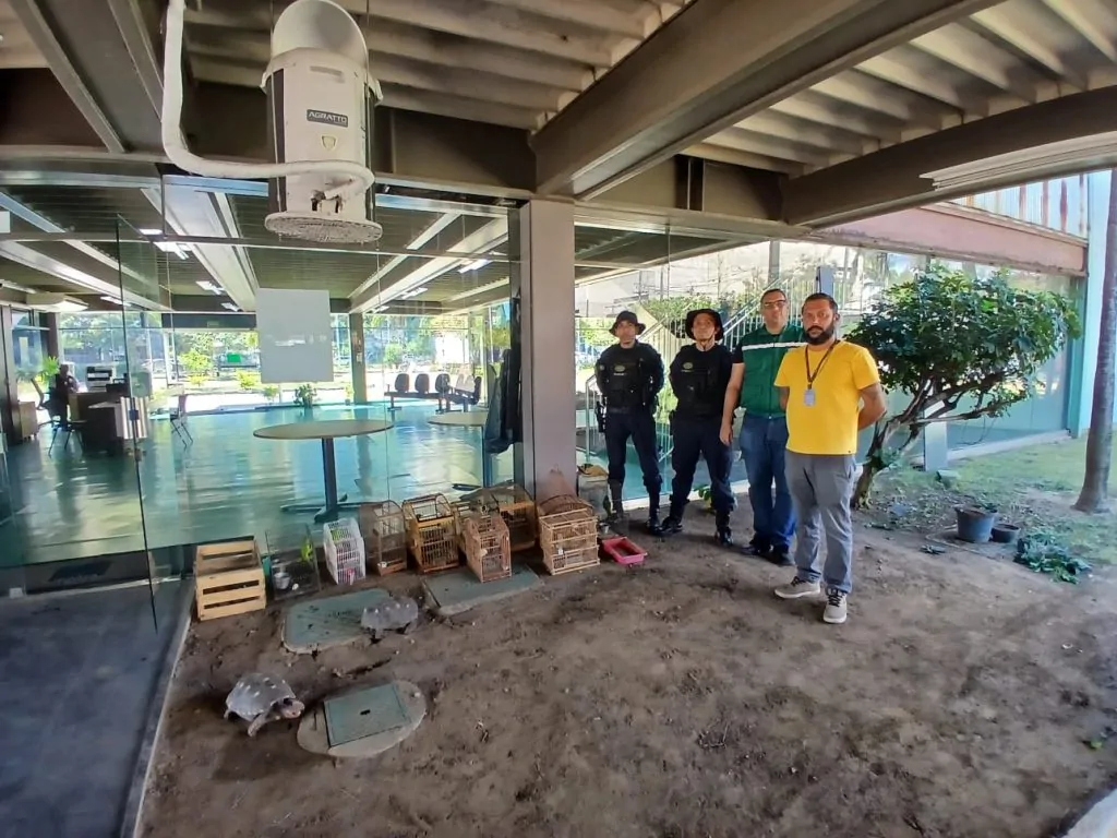 Operação em Vila Velha flagra maus-tratos e cativeiro ilegal de animais silvestres