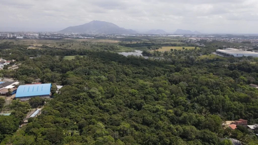 Moradores de Manguinhos temem perder último fragmento preservado de Mata Atlântica