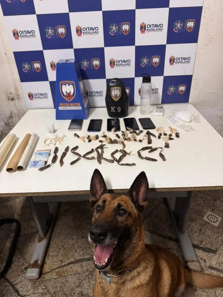 Traficante ameaça PMs do ES por videochamada e diz que vai impor internet clandestina em Colatina Traficante ameaça PMs do ES por videochamada e diz que vai impor internet clandestina em Colatina