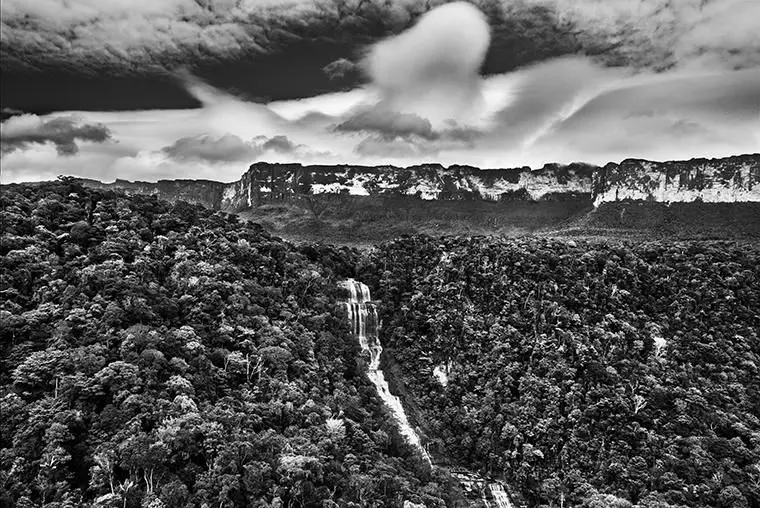 Amazônia: a força da floresta ocupa o Cais das Artes
