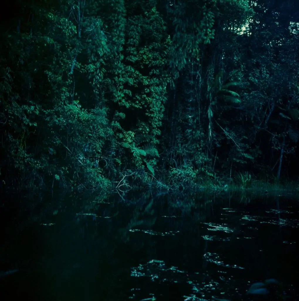 Bujiu lança “Terra” em dissonância com a ditadura do algoritmo