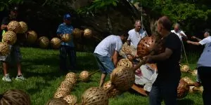 Sábado de Aleluia: terço gigante abre a Festa da Penha 2026 Sábado de Aleluia: terço gigante abre a Festa da Penha 2026