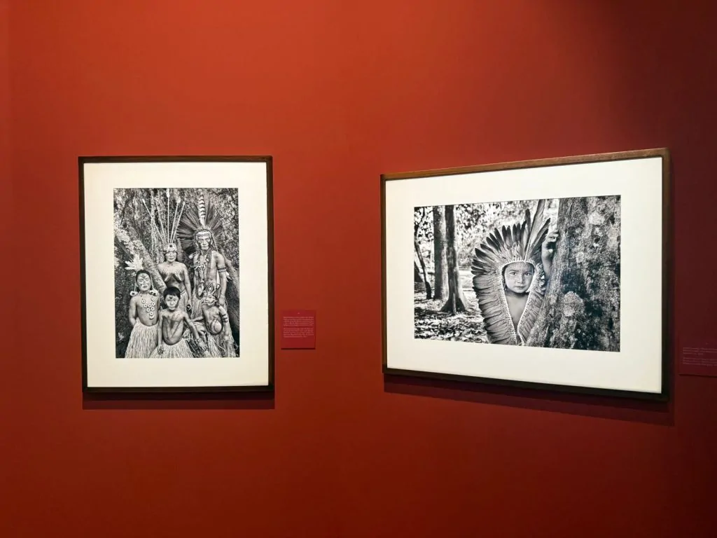Mais de 200 imagens de Sebastião Salgado inauguram museu do Cais das Artes