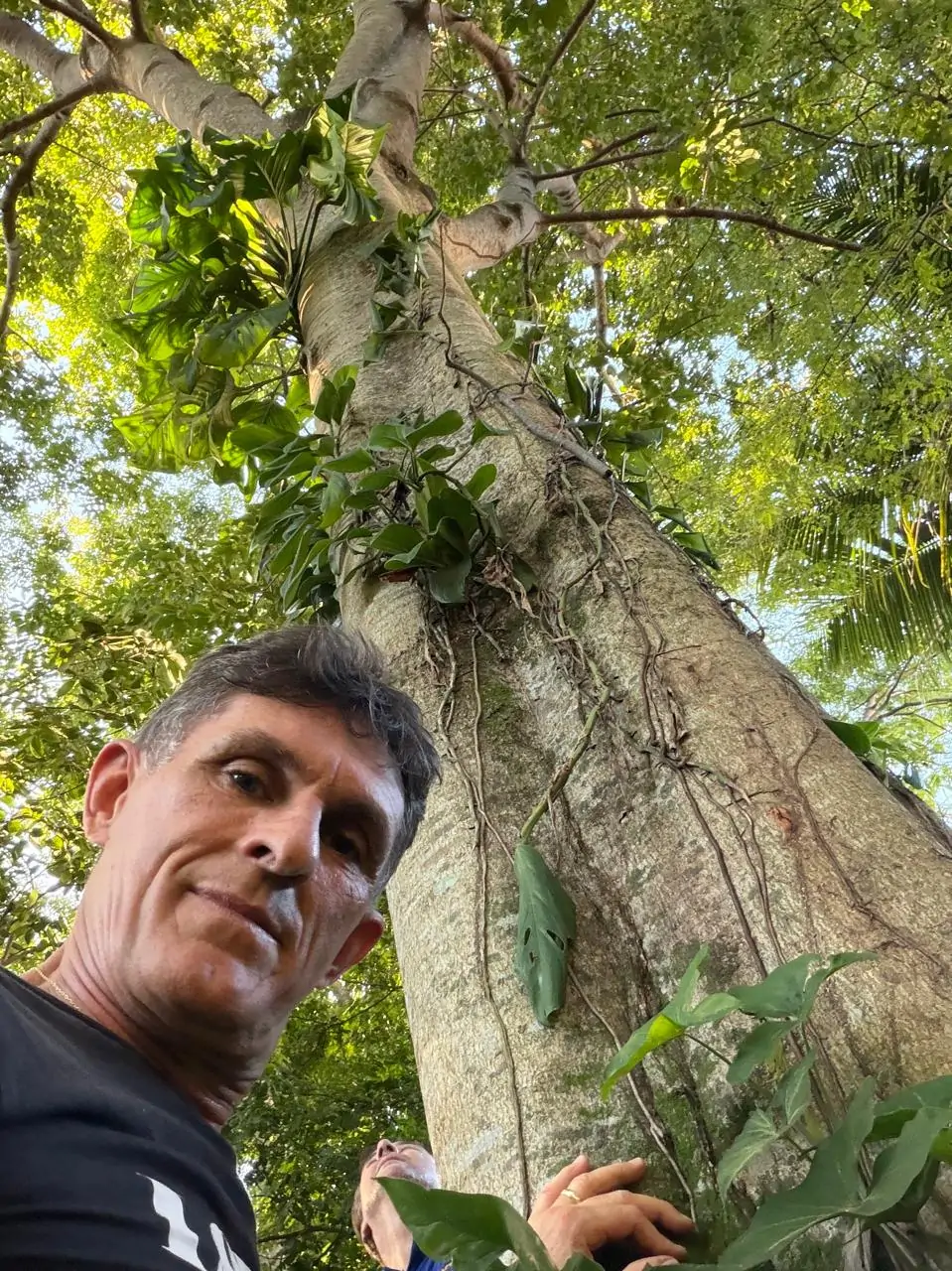 ESG na prática: Empresário capixaba transforma área de 4 mil m² em floresta urbana e revitaliza orla em Vitória