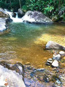 Feira dos Municípios: Turismo rural e cafés especiais atraem visitantes a Muniz Freire